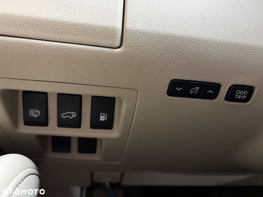 Lexus RX - 18