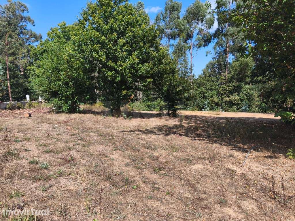 Prédio rústico em zona de construção, vedado com muro de granito - Grande imagem: 3/12