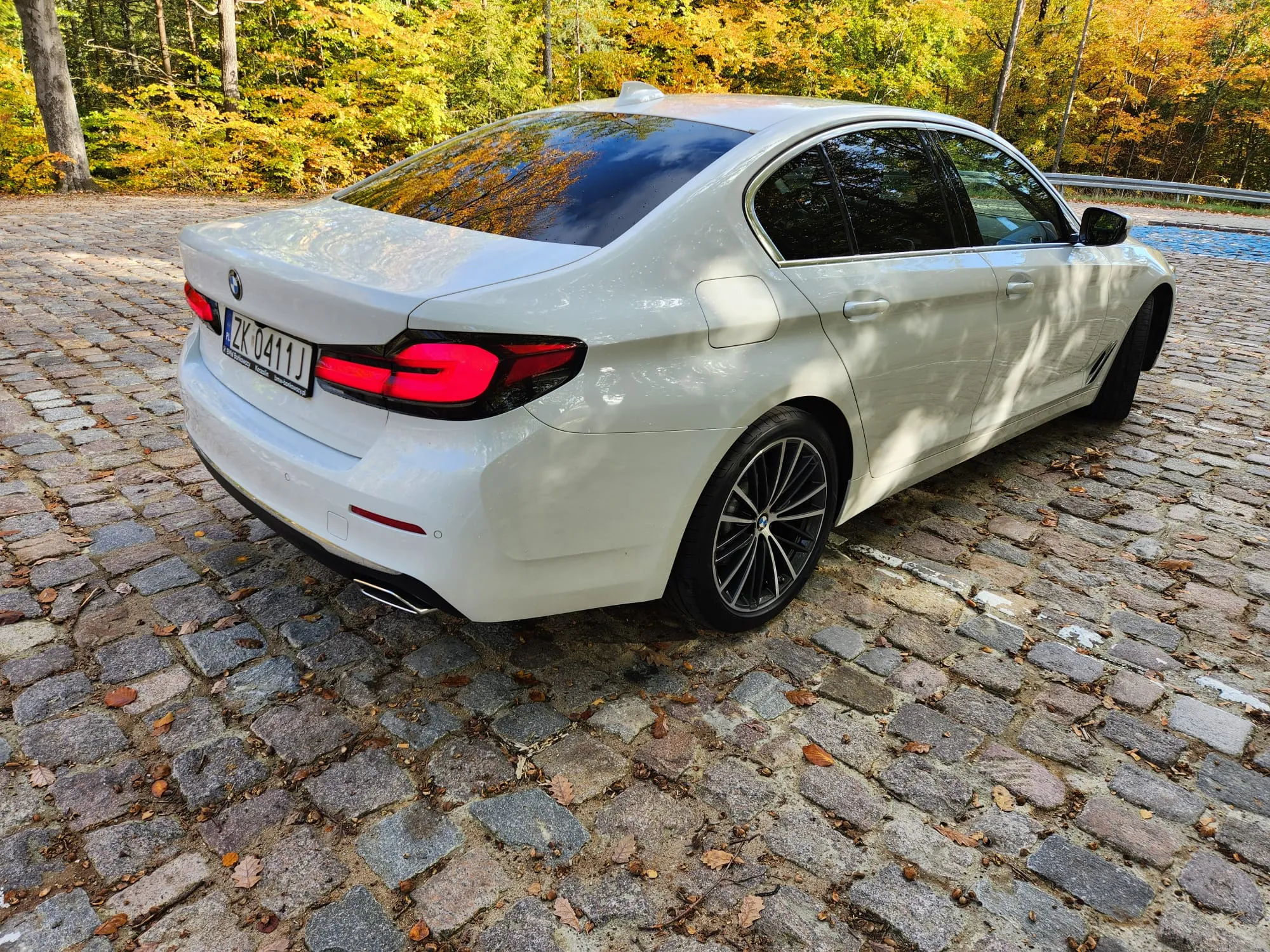 BMW Seria 5 520d xDrive Luxury Line - 5