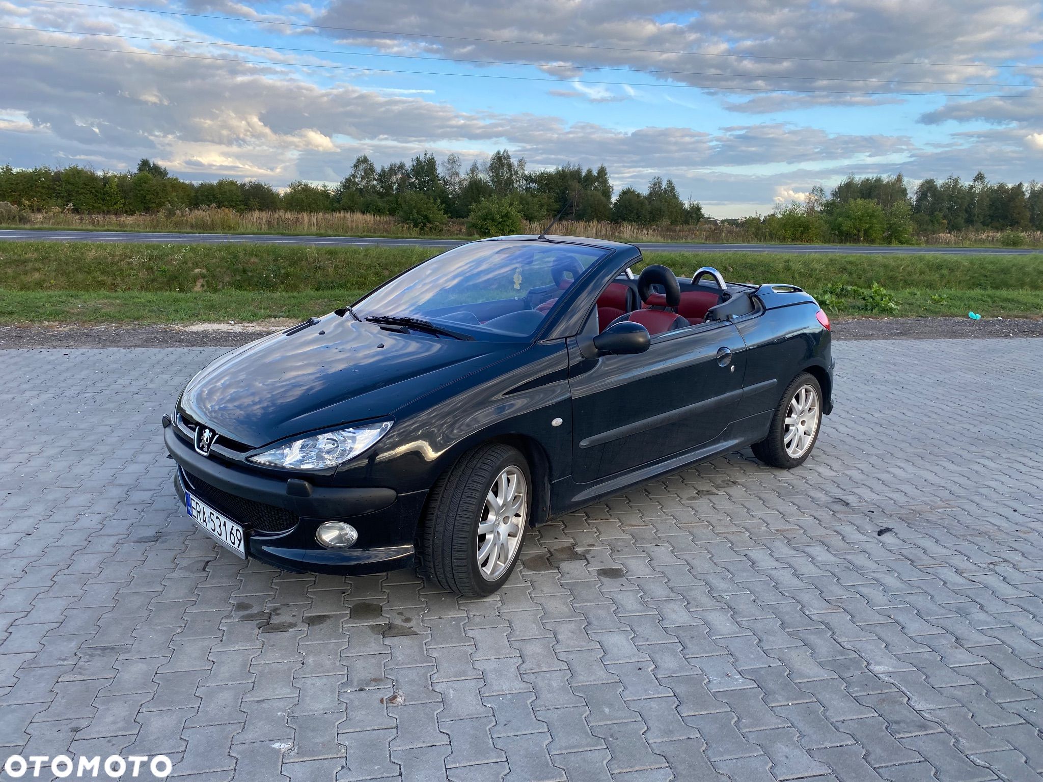 Peugeot 206 CC 110 - 1