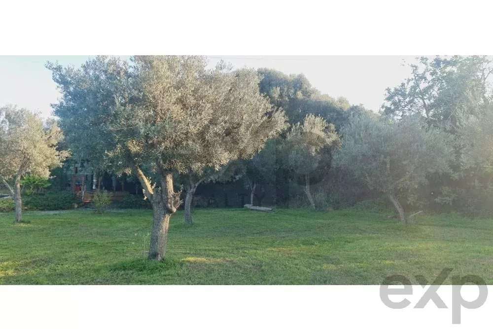 Terreno construtível com ruína e com um projeto aprovado - Grande imagem: 5/13