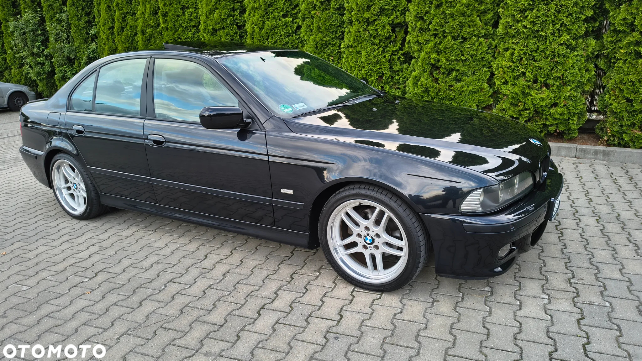 BMW Seria 5 - 3