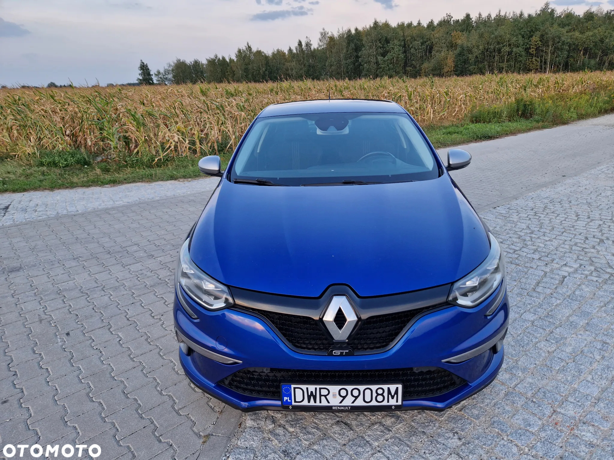 Renault Megane 1.6 TCe GT EDC - 2