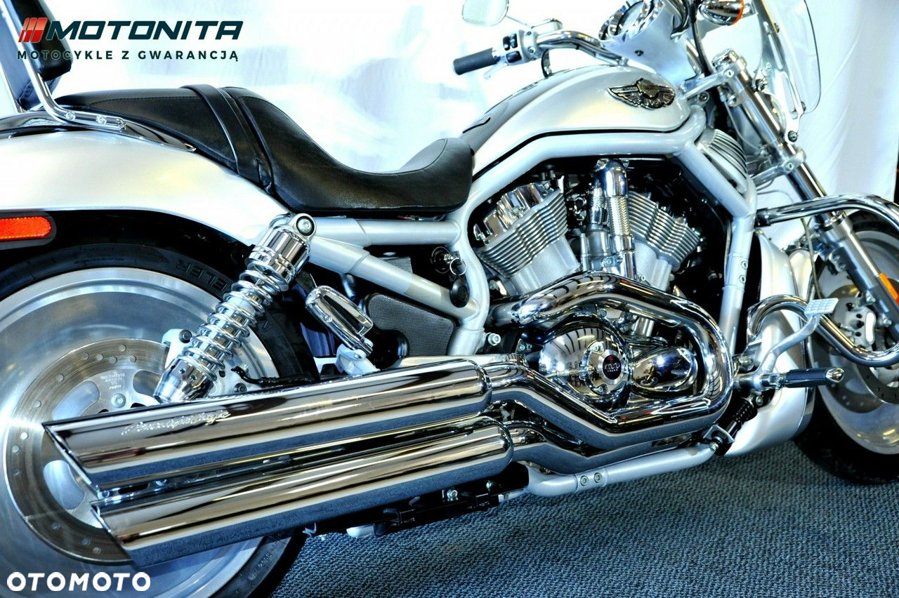 Harley-Davidson Softail V-Rod - 38