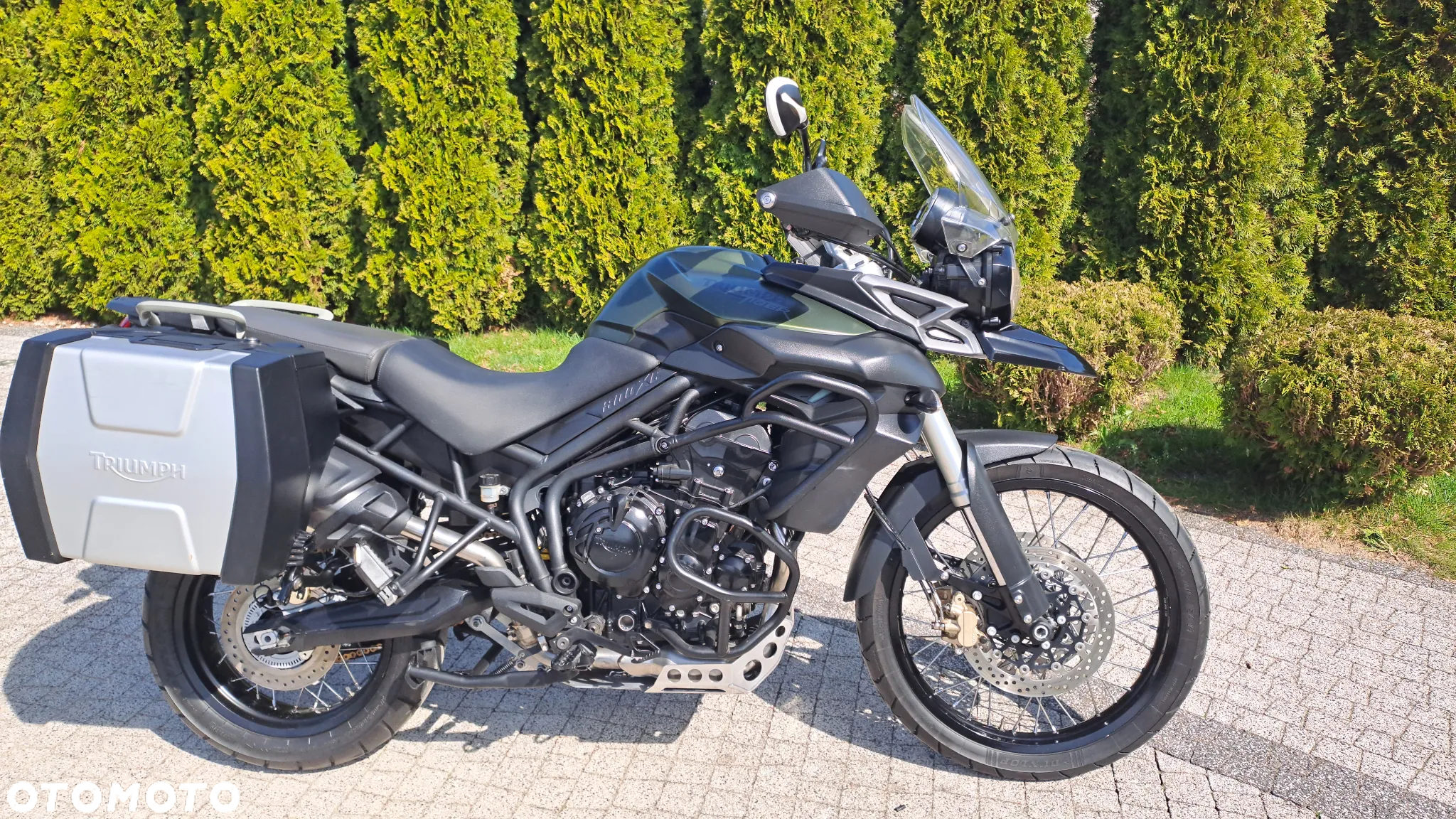 Triumph Tiger - 35
