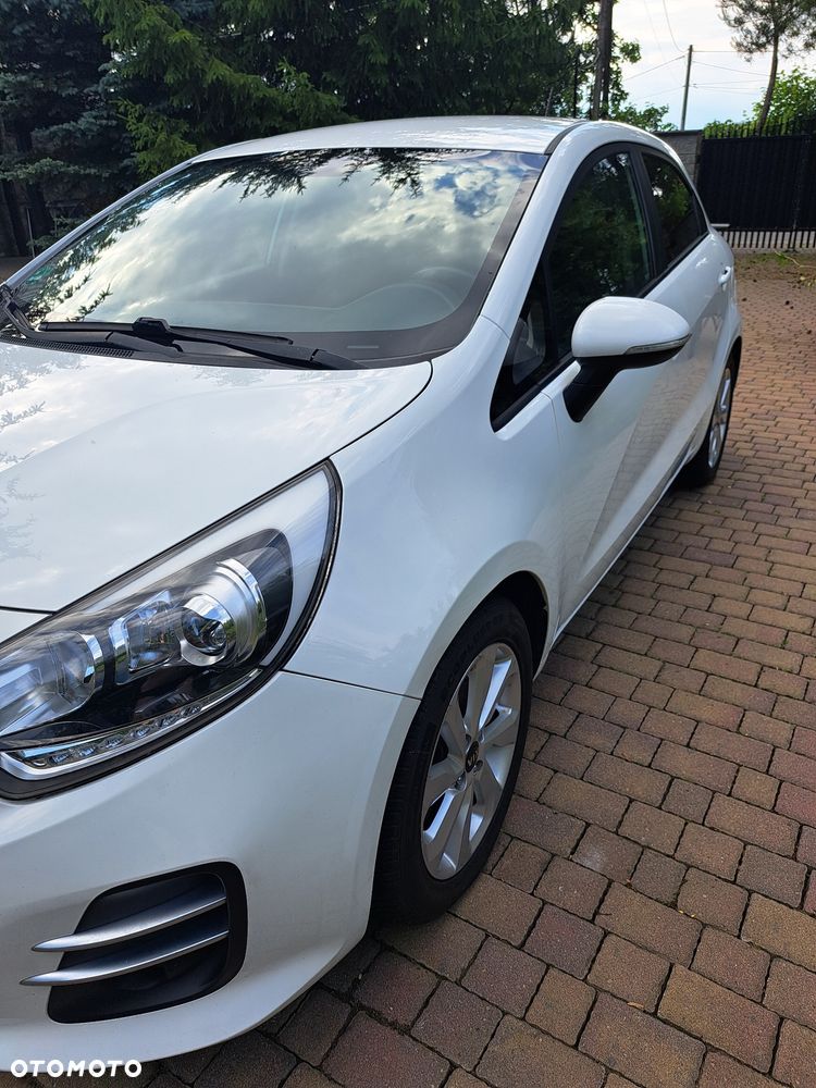 Kia Rio 1.1 crdi XL - 19