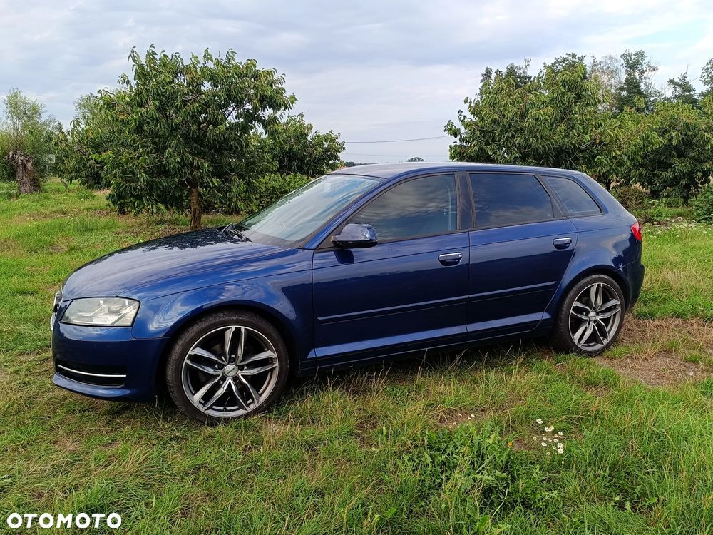 Audi A3 Sportback 1.6 TDI DPF Ambition - 10