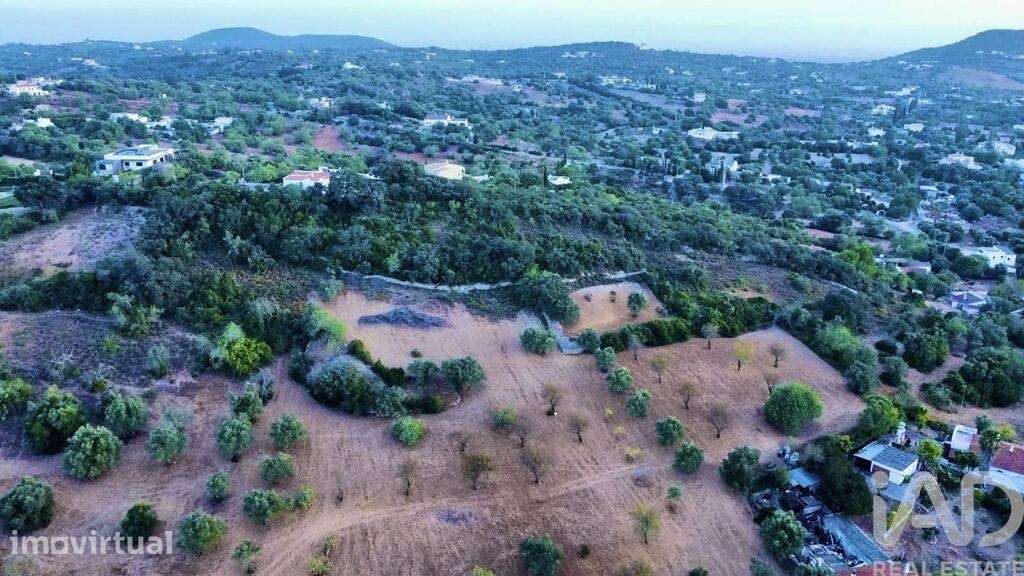 Terreno Agrícola em Santa Bárbara de Nexe de 14400,00 m2 - Grande imagem: 2/10