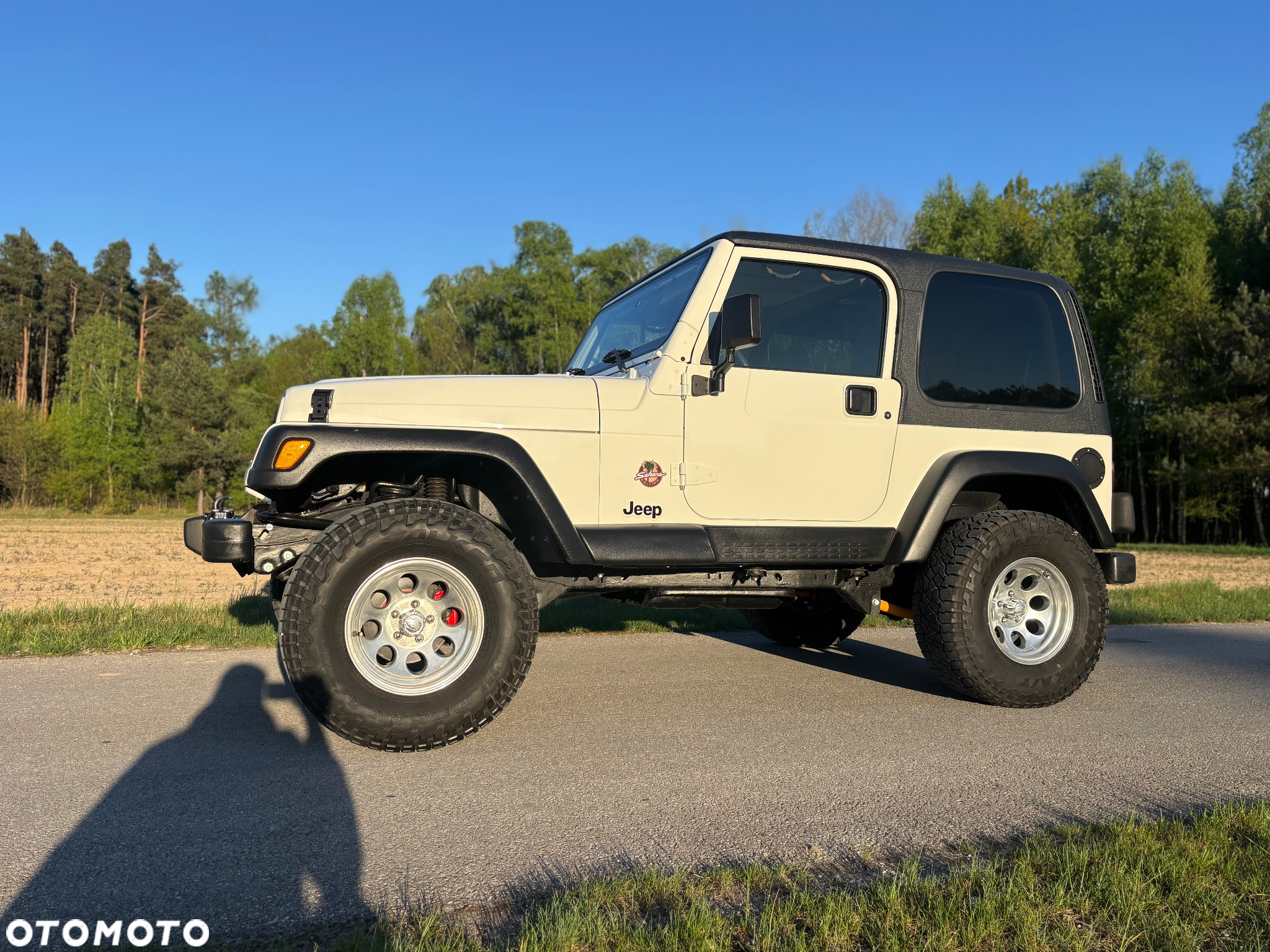 Jeep Wrangler 4.0 Sahara - 4