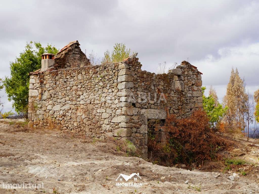 Terreno para construção ou investimento em turismo rural ou Glamping - Grande imagem: 3/18