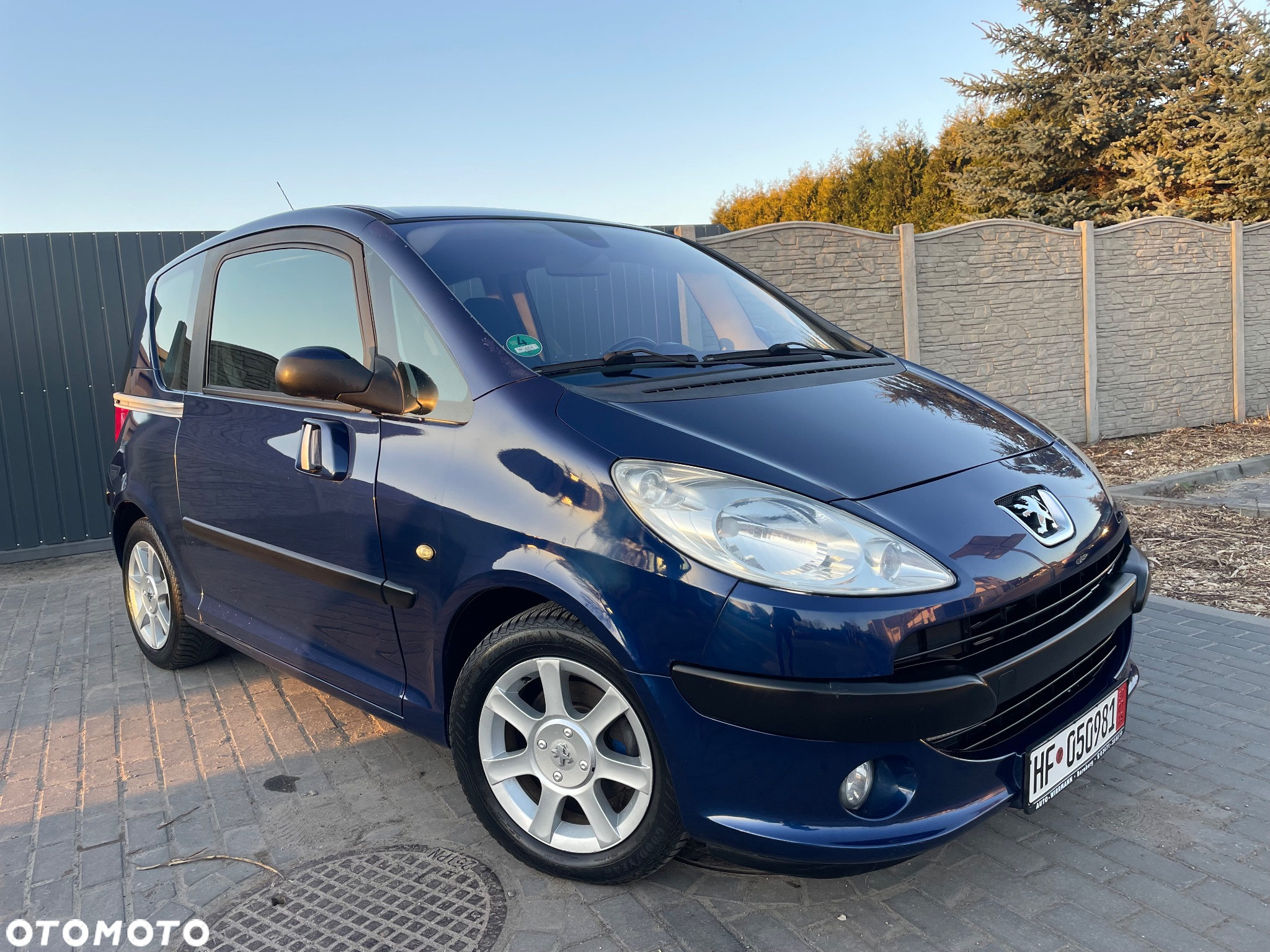 Peugeot 1007 - 22