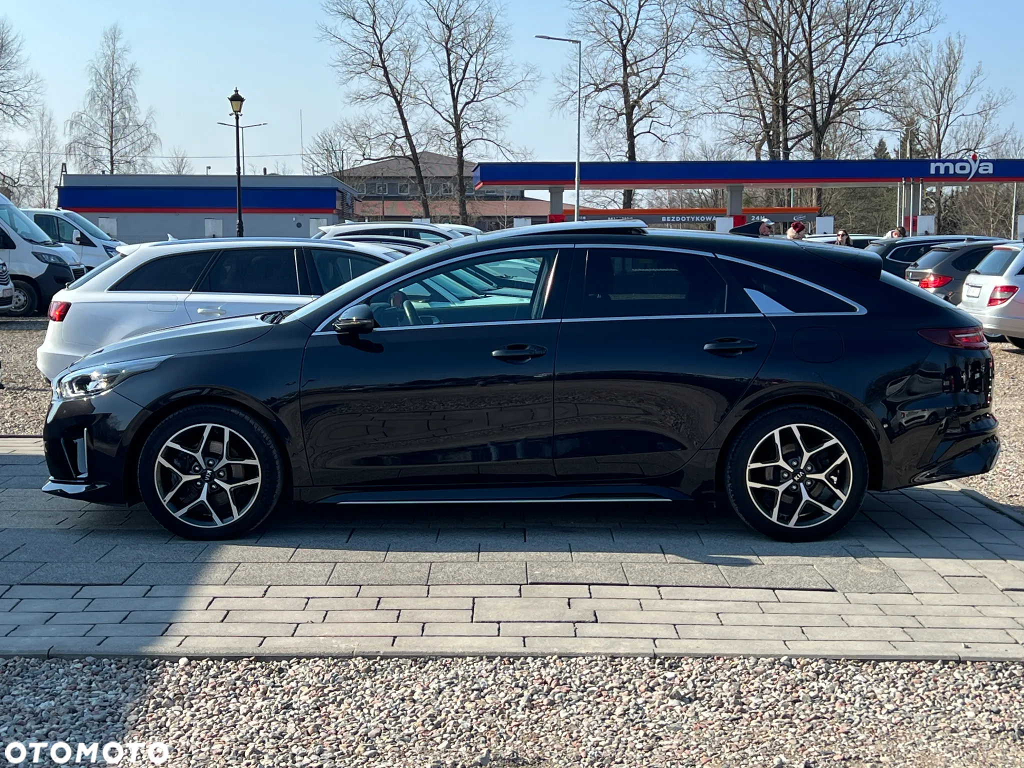 Kia ProCeed 1.5 T-GDI DCT7 OPF GT LINE - 13