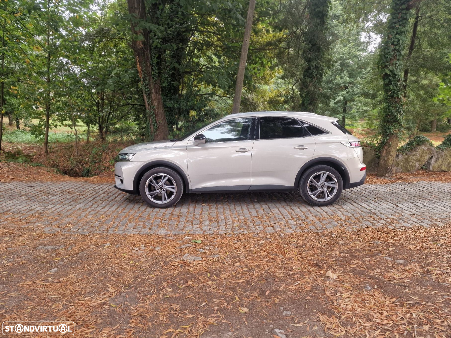 DS DS7 Crossback 1.5 BlueHDi Grand Chic EAT8 - 30