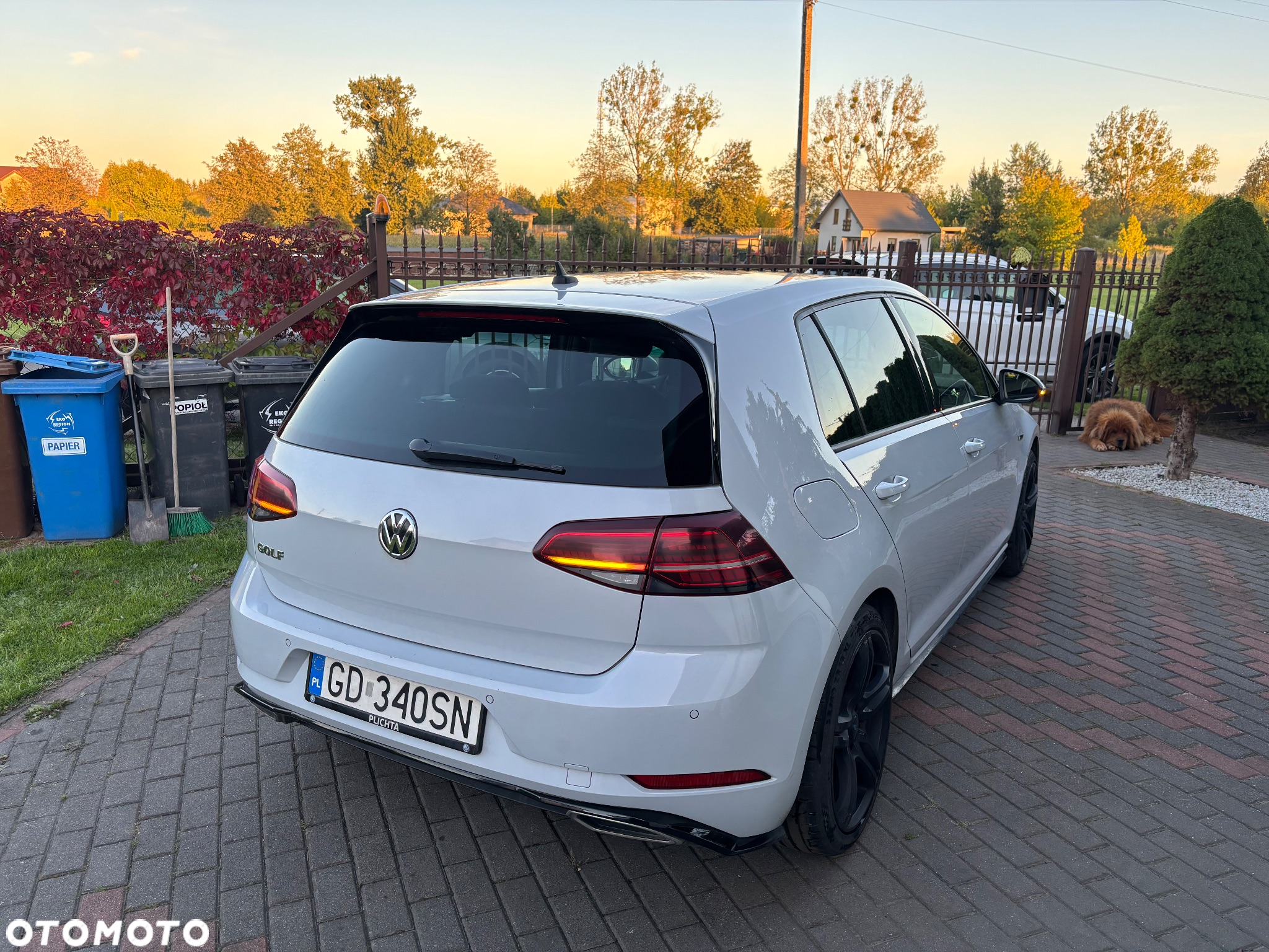 Volkswagen Golf - 4