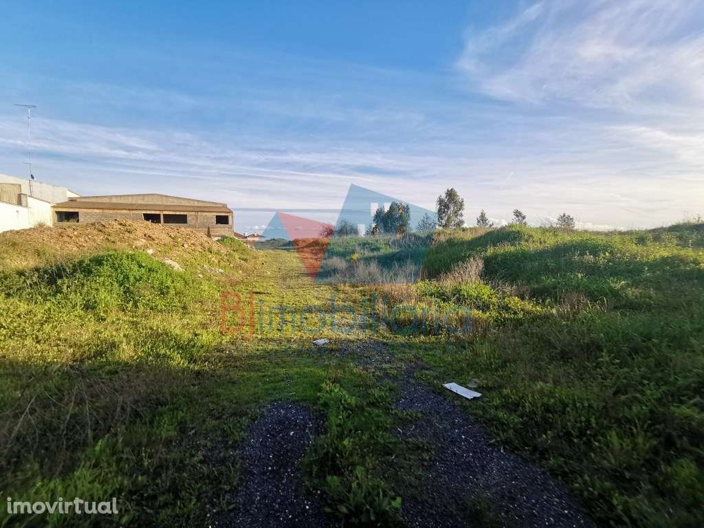 Terreno Rústico Venda Beja - Grande imagem: 2/4