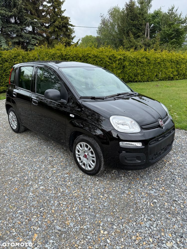 Fiat Panda - 1