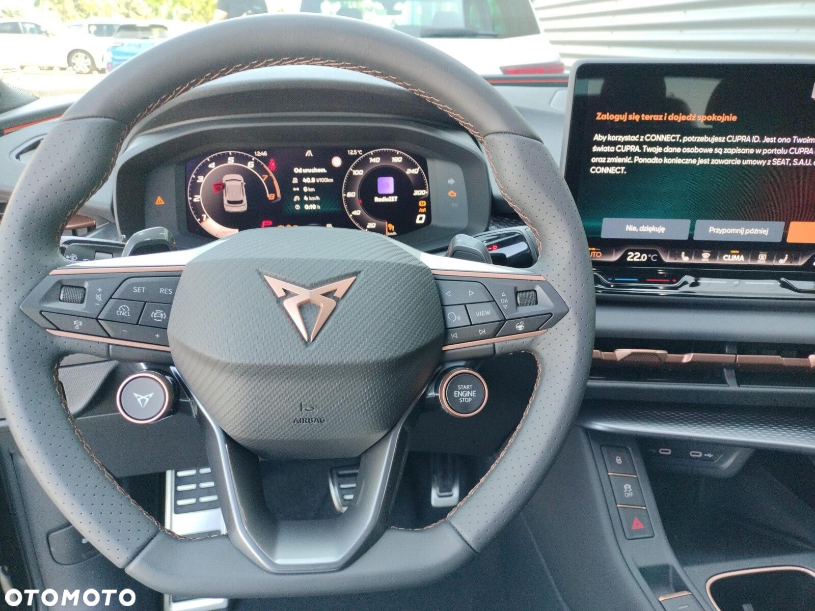 Cupra Terramar 2.0 TSI 4Drive DSG - 13