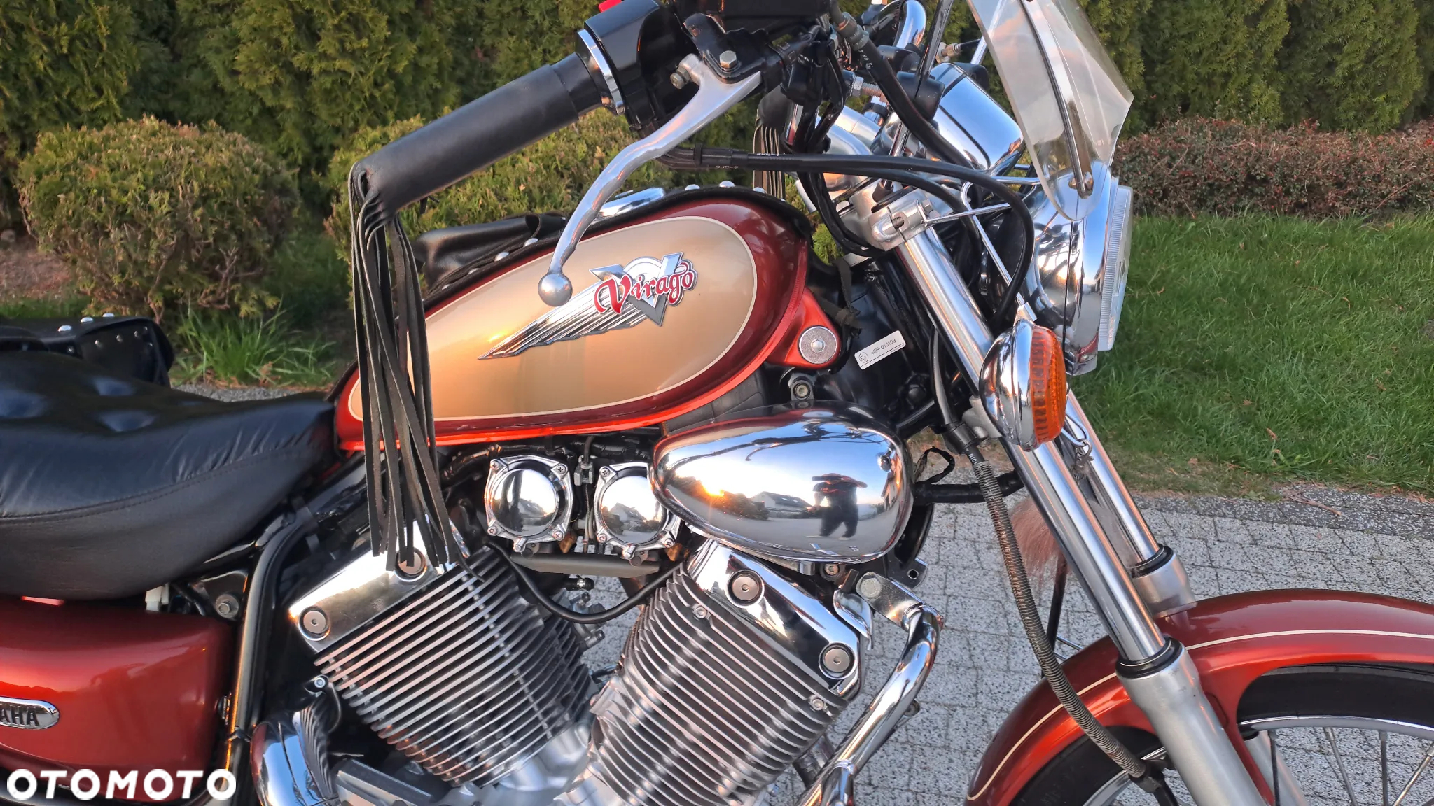 Yamaha Virago - 10