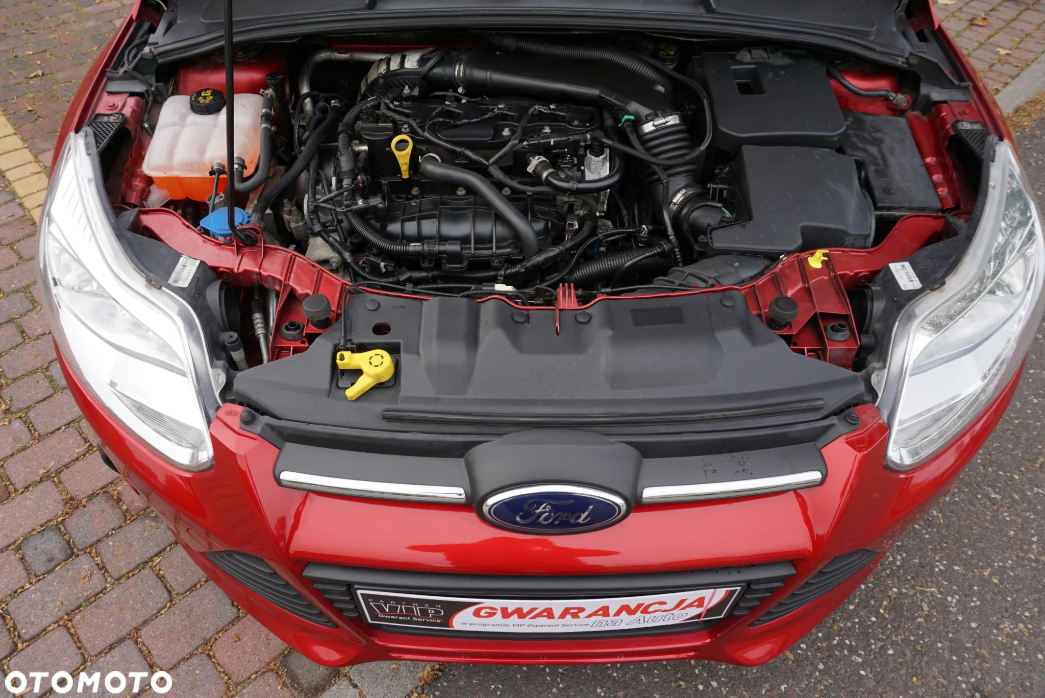 Ford Focus Turnier 1.6 EcoBoost Start-Stopp-System Champions Edition - 21