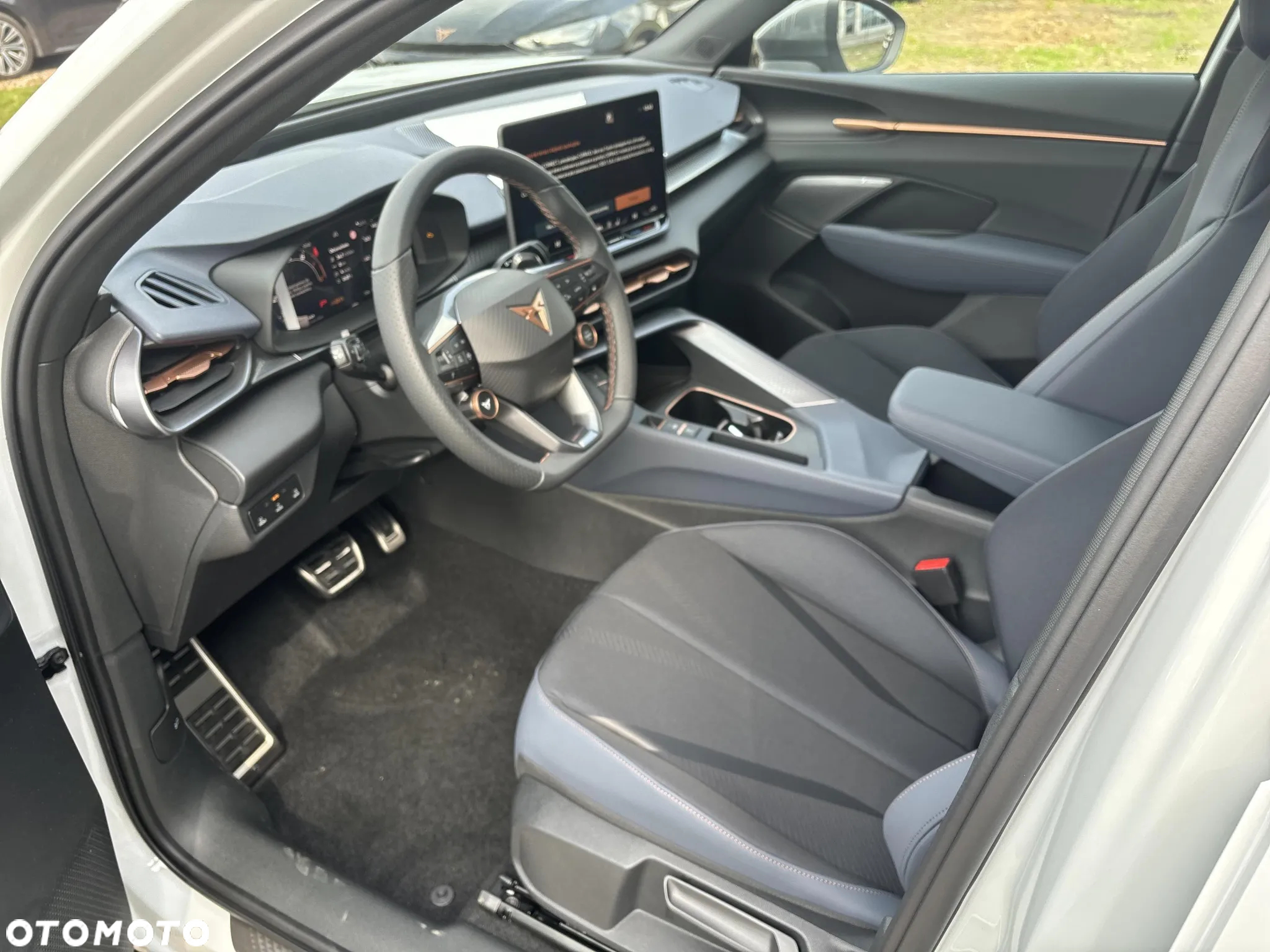 Cupra Terramar - 9