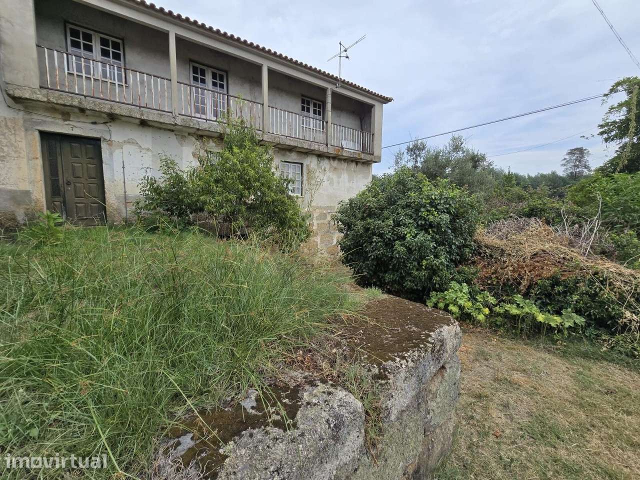 Quinta em Santa Comba Dão - Grande imagem: 2/17