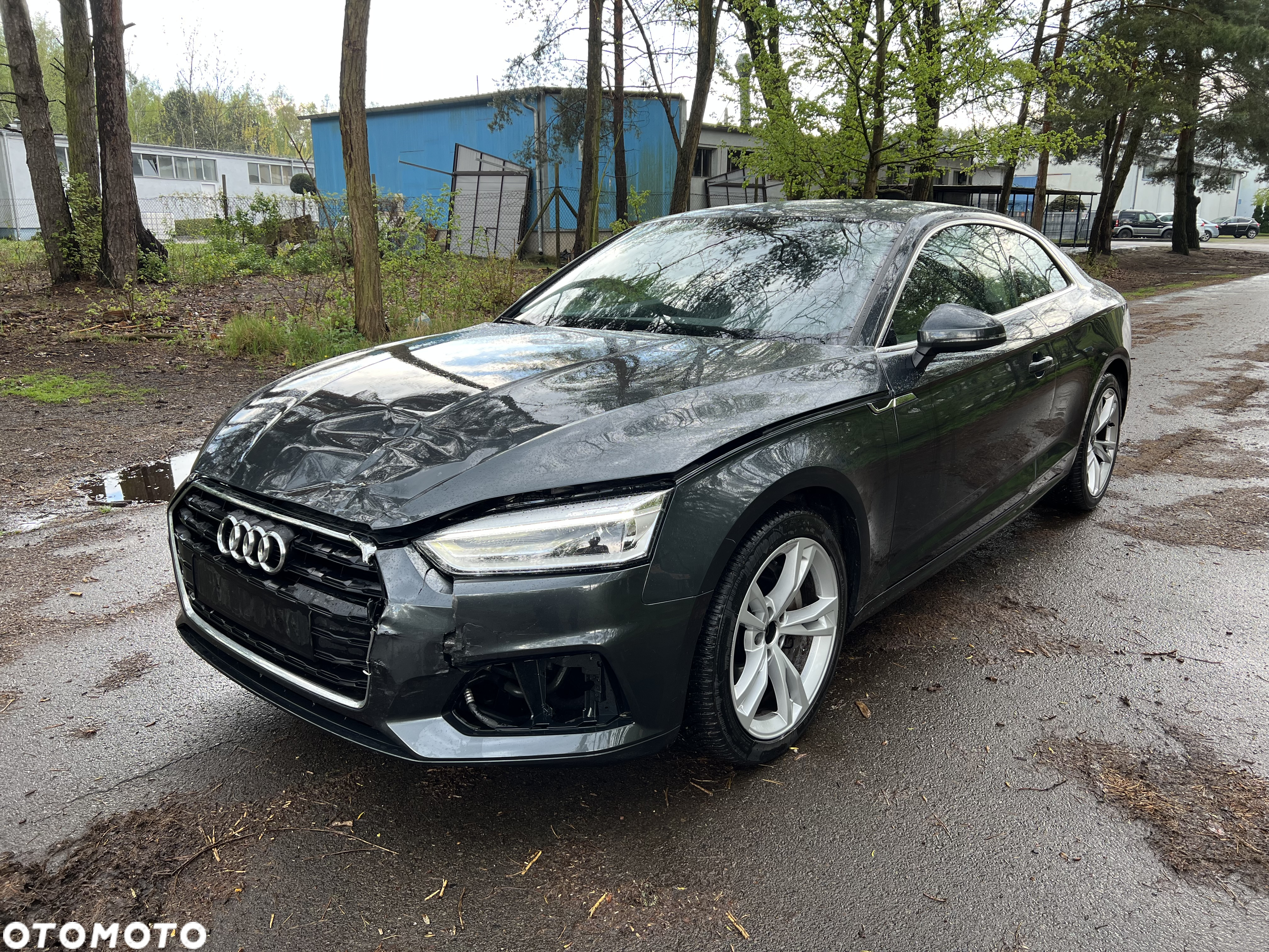 Audi A5 2.0 TDI DPF (clean diesel) - 3