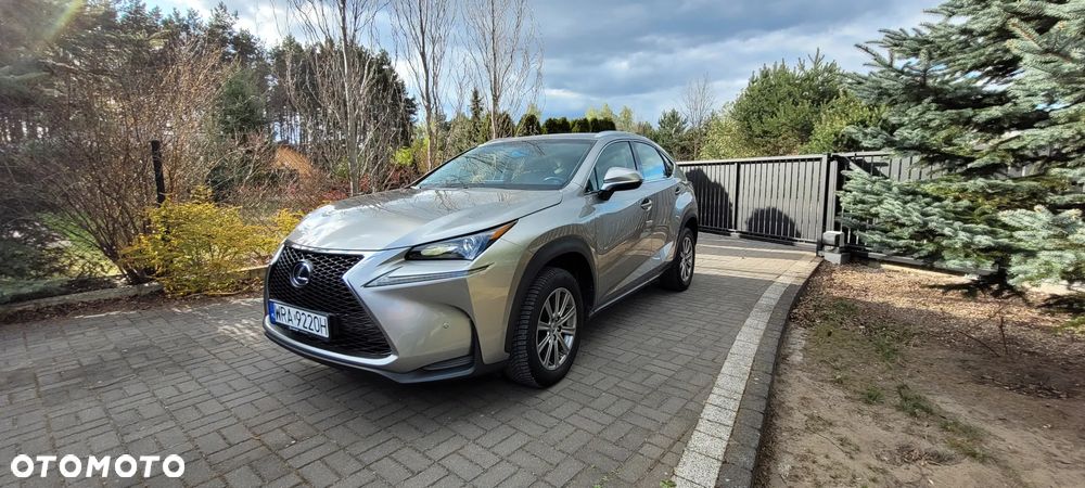 Lexus NX 300h Elite AWD - 1
