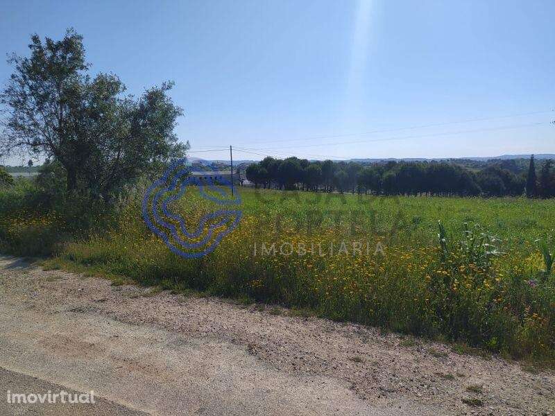 Terreno com 13.700m2 a 5 minutos da cidade de Tomar - Grande imagem: 5/19