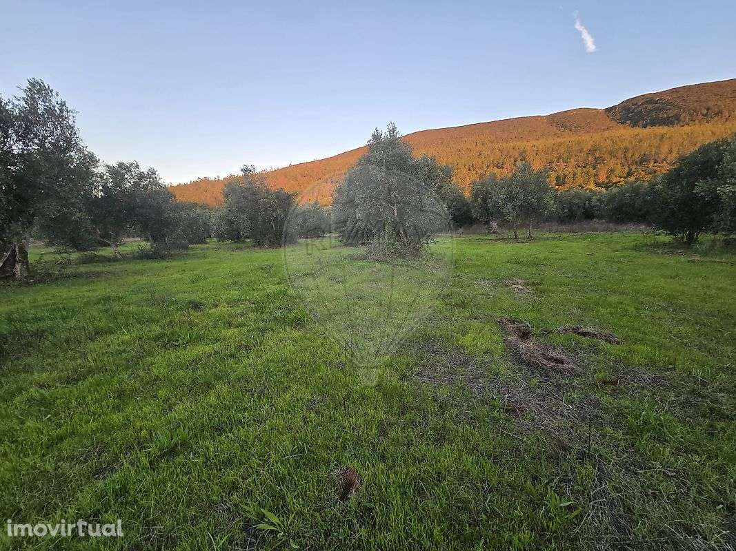 Terreno  para venda - Grande imagem: 4/7
