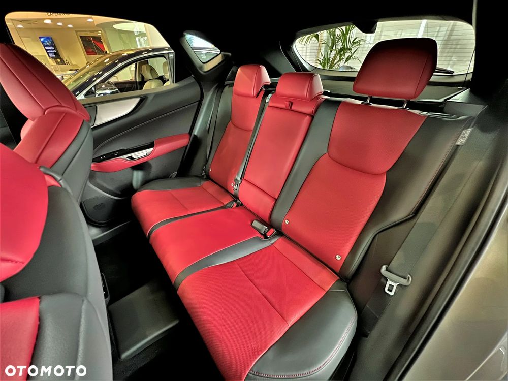 Lexus NX - 10