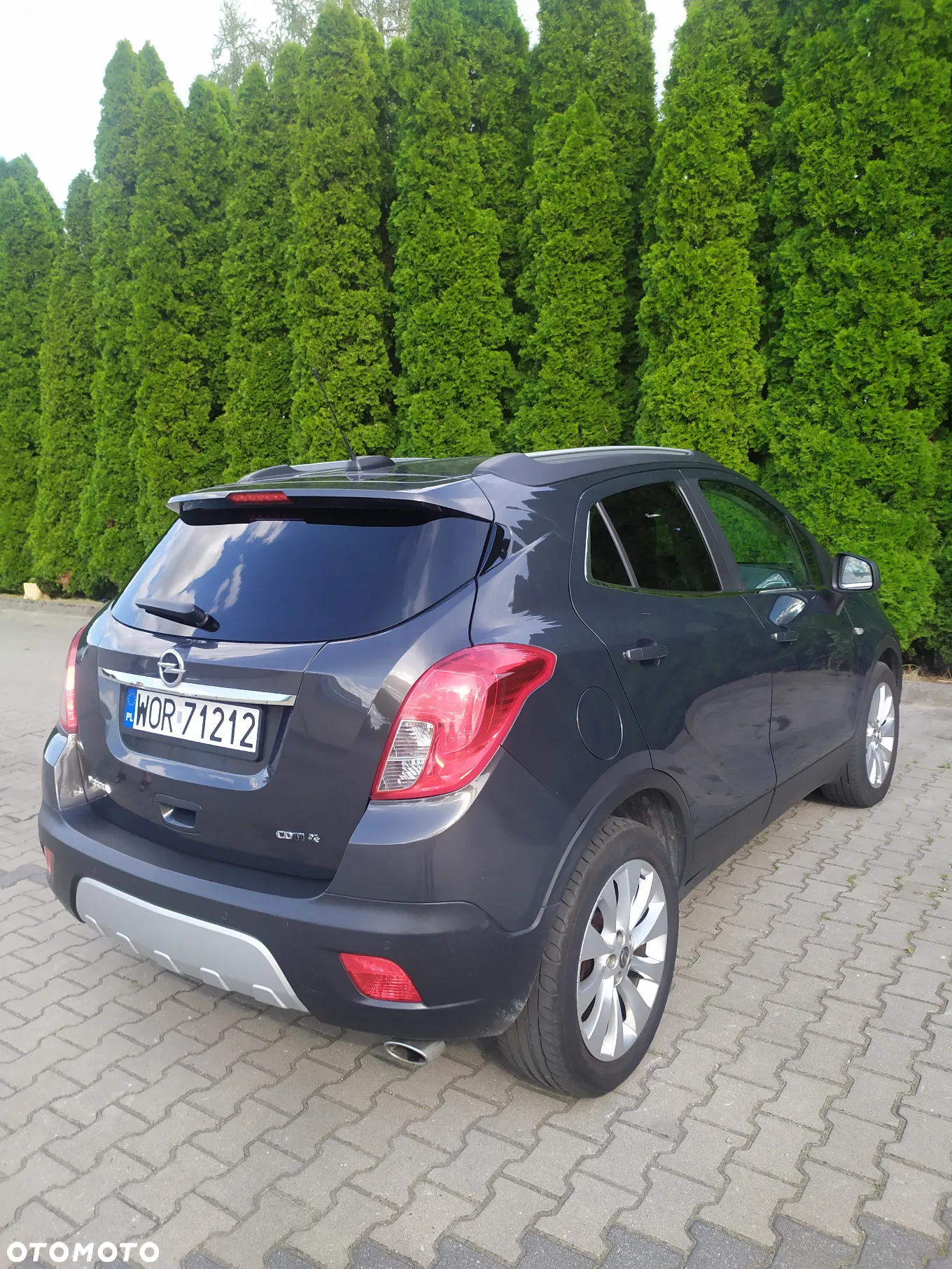 Opel Mokka 1.6 CDTI Cosmo S&S 4x4 - 6
