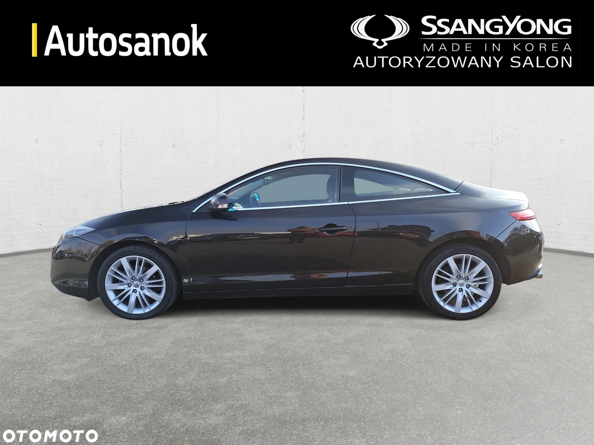 Renault Laguna 2.0 16V Coupe Euro5 - 8