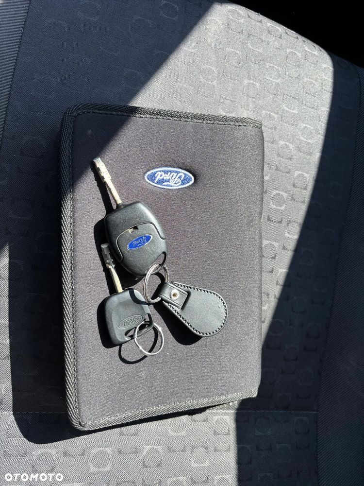 Ford Focus - 13