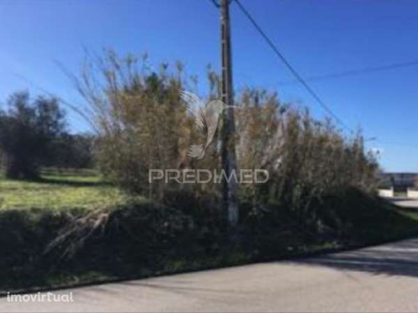 Terreno rústico com 11.450 m² em Cantanhede – Potencial para 9 mora... - Grande imagem: 2/3