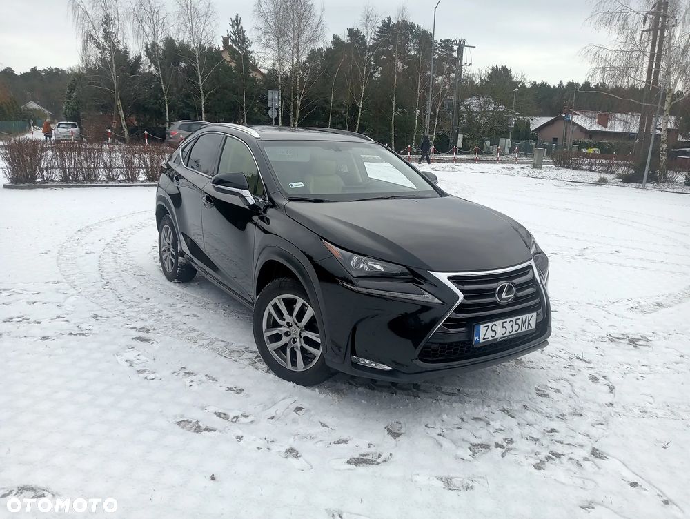 Lexus NX - 13