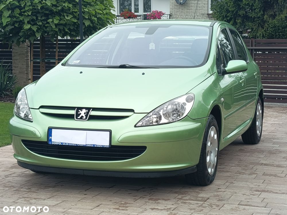 Peugeot 307 - 8