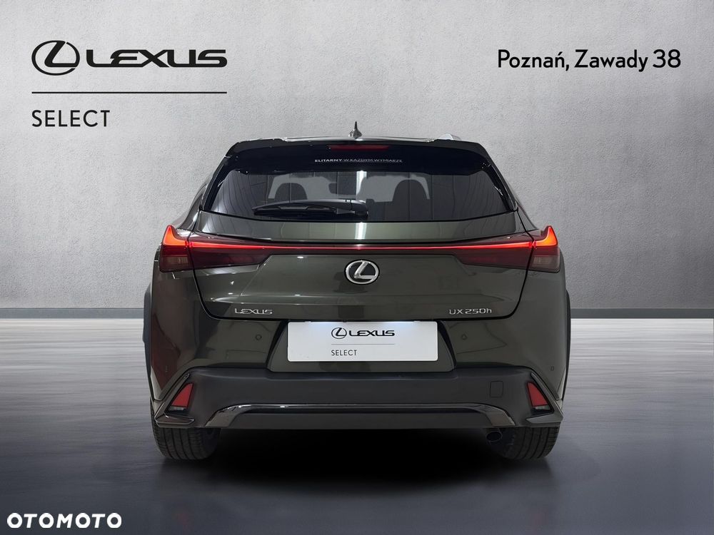 Lexus UX 250h GPF F Sport Design 2WD - 7