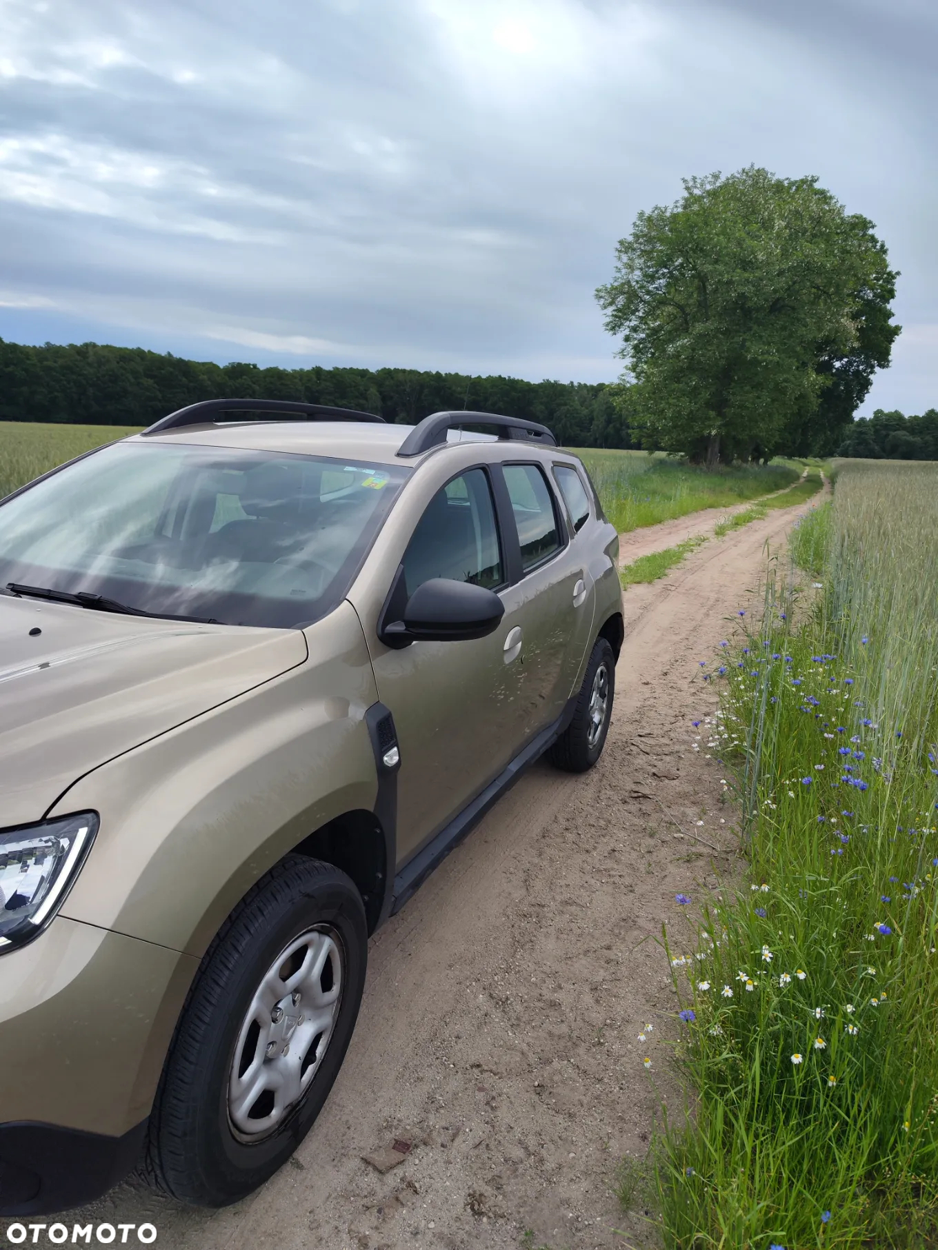Dacia Duster - 9