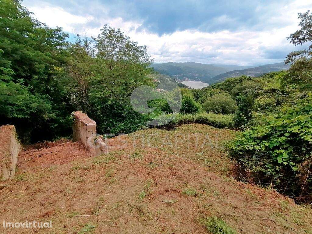 Quinta com vistas para o Douro - Grande imagem: 2/29