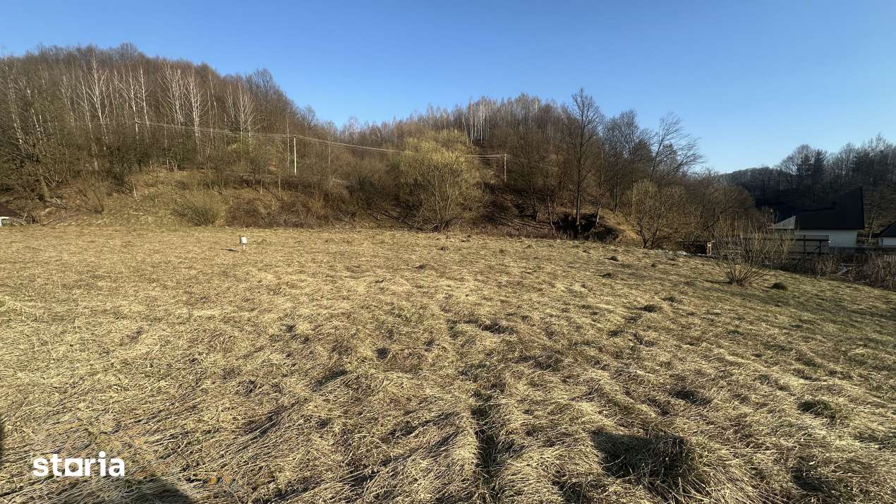 Teren intravilan, 25 ari, zona Firiza - Imagine principală: 3/3