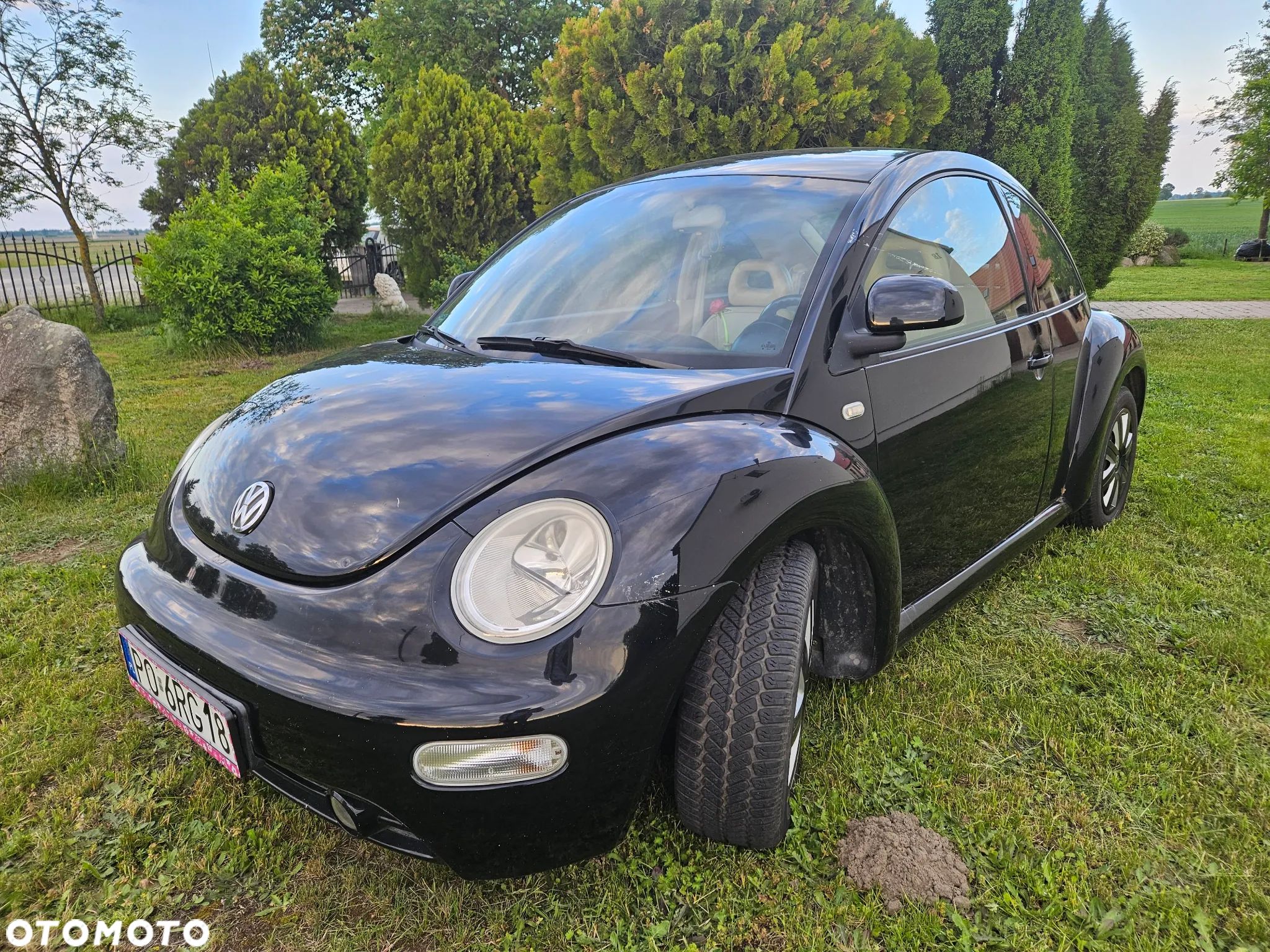 Volkswagen New Beetle 1.9 TDI - 1