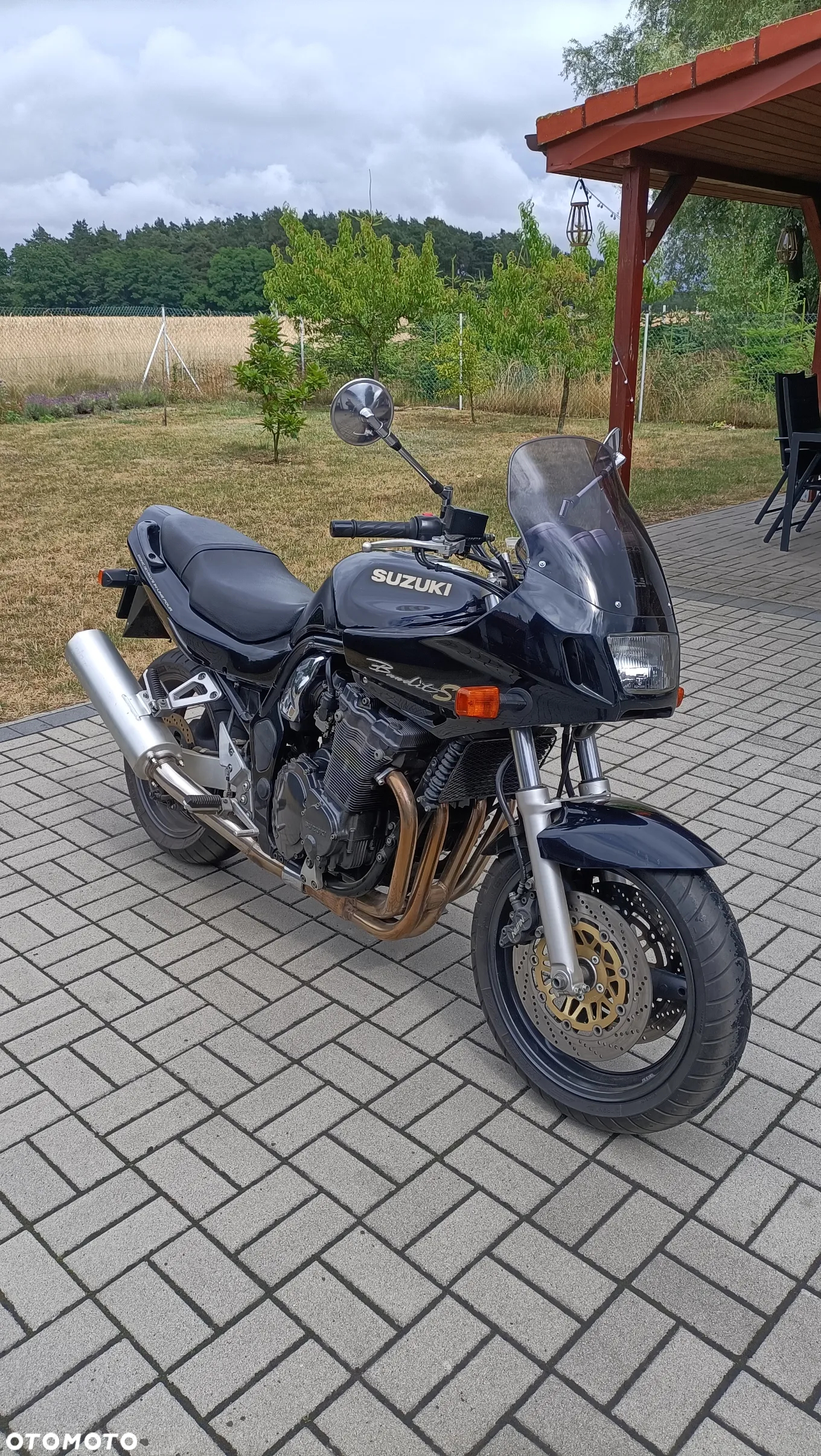 Suzuki Bandit - 3
