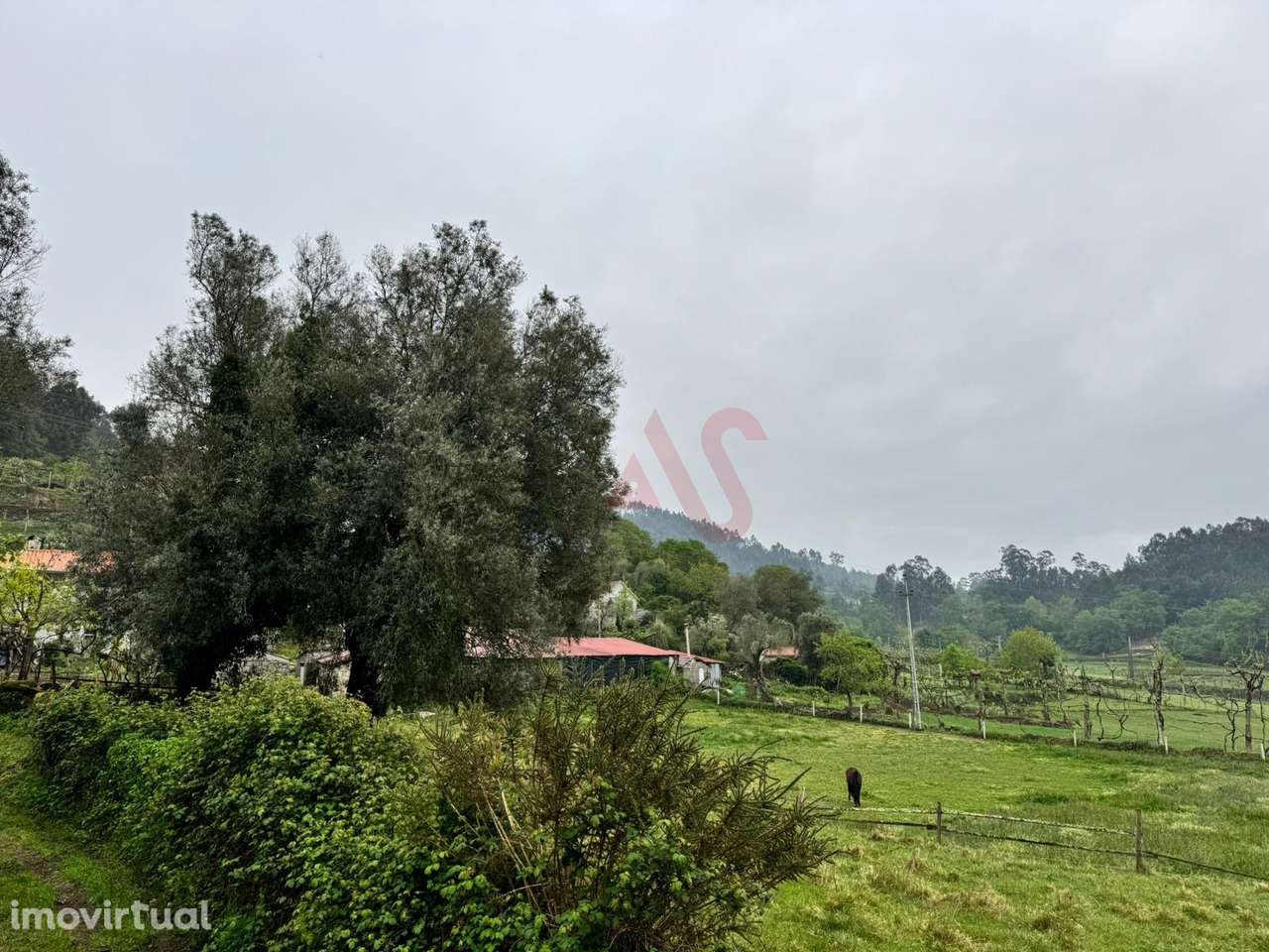 Terreno Rústico em Vieira do Minho – Natureza e Agricultura! - Grande imagem: 5/10