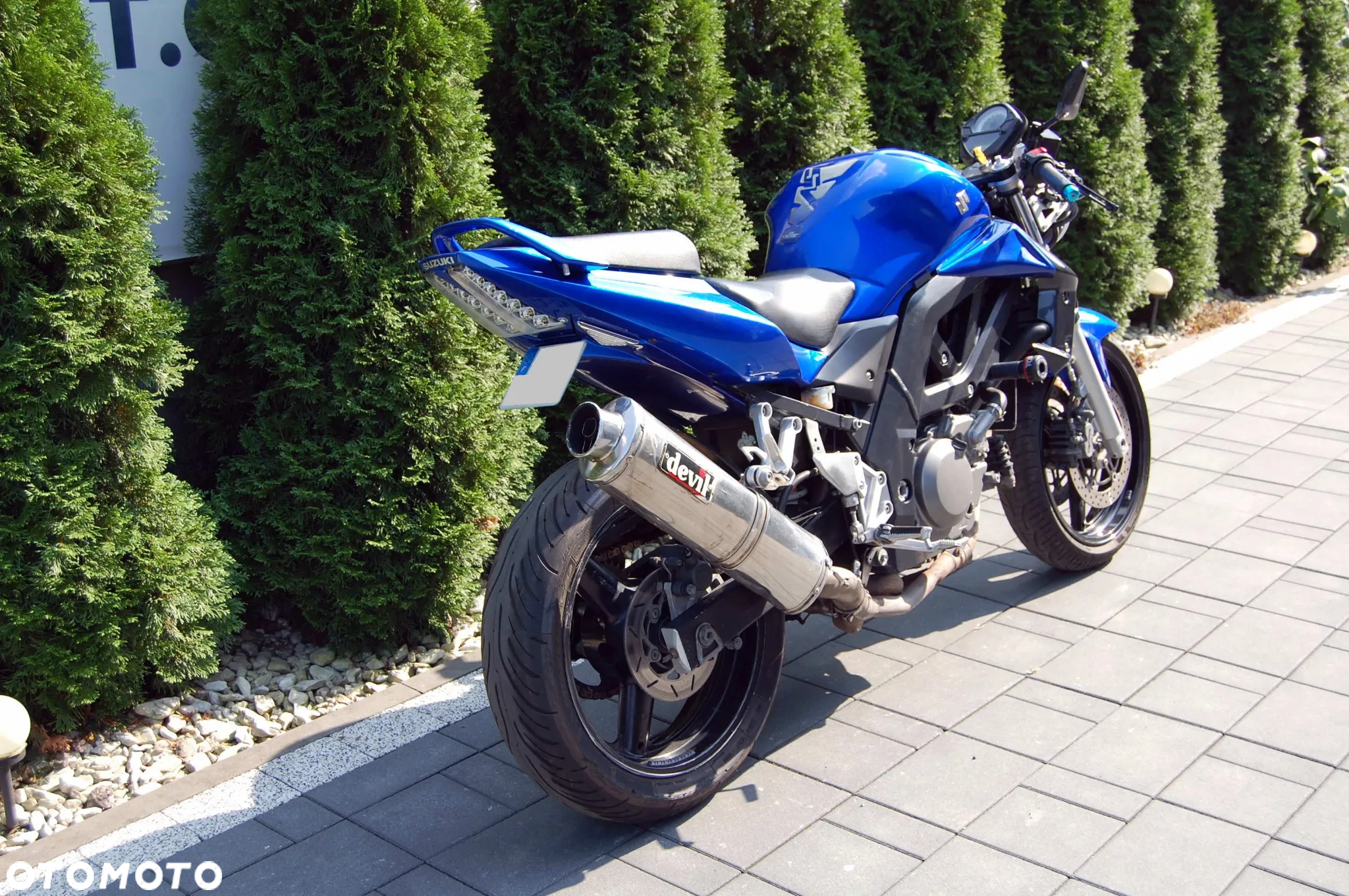 Suzuki SV - 3