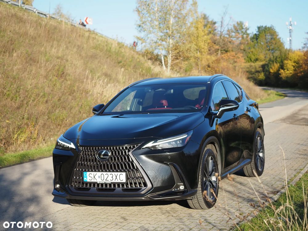 Lexus NX - 2