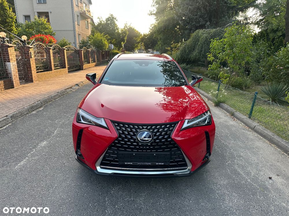 Lexus UX 250h Prestige 2WD - 2
