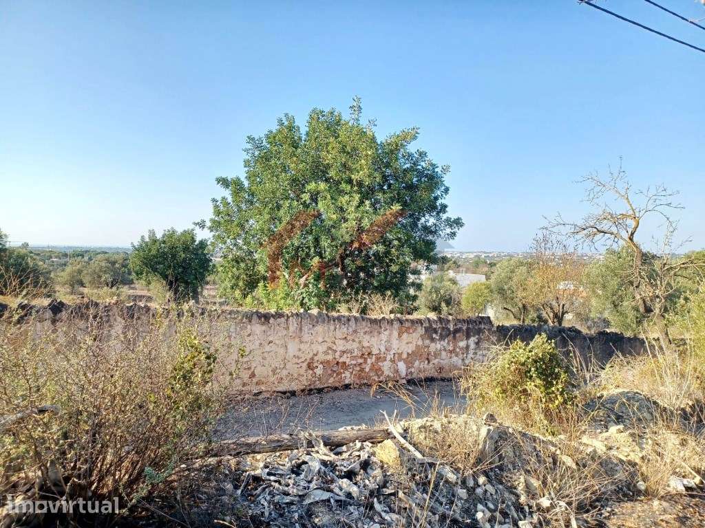 Terreno com PIP para construção de moradia com piscina - Boliqueime - Grande imagem: 5/9