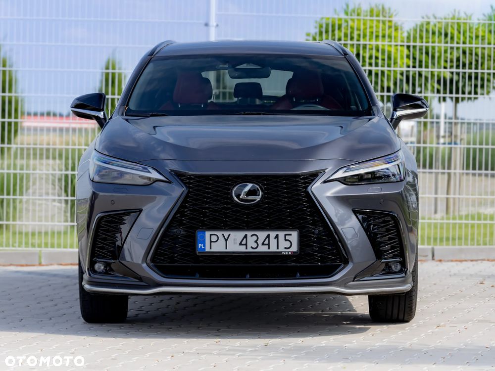 Lexus NX - 6