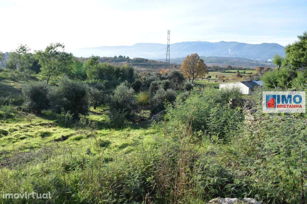 Quinta c/ Casinha - Castanheira (Caria-Peraboa) - Grande imagem: 2/15