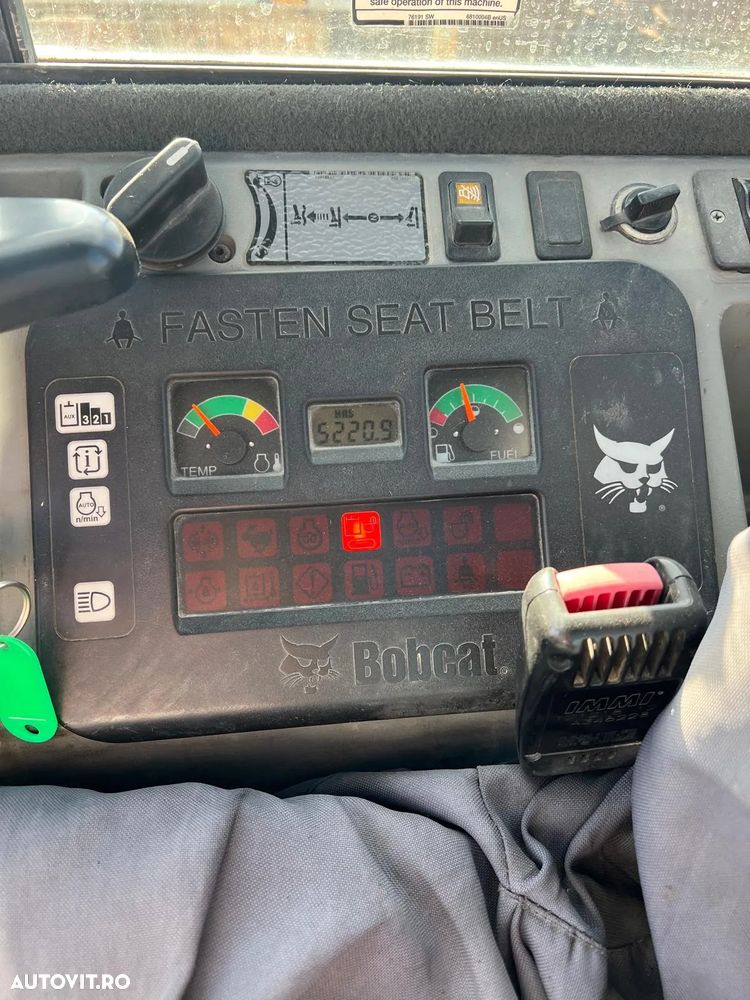 Bobcat - 10